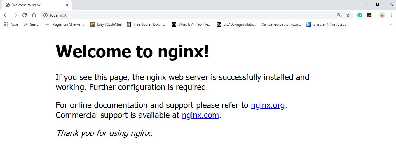 Windows Nginx 